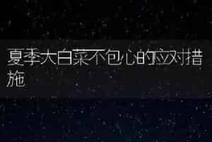 夏季大白菜不包心的应对措施