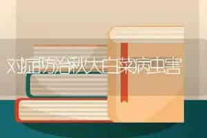 对症防治秋大白菜病虫害