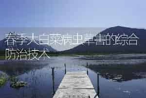 春季大白菜病虫草害的综合防治技术