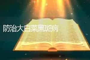 防治大白菜黑斑病