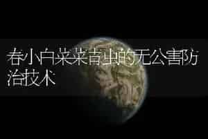 春小白菜菜青虫的无公害防治技术