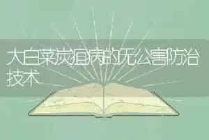 大白菜炭疽病的无公害防治技术