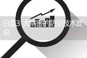 白菜3大病害的防治技术要点