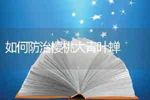 秋季露地大白菜软腐病的综合防治技术