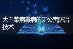 大白菜病毒病的无公害防治技术