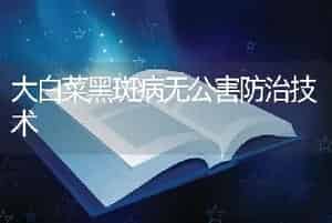 大白菜黑斑病无公害防治技术