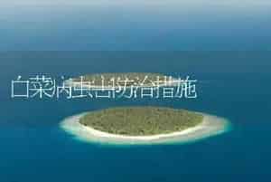 白菜病虫害防治措施