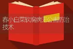 春小白菜软腐病无公害防治技术
