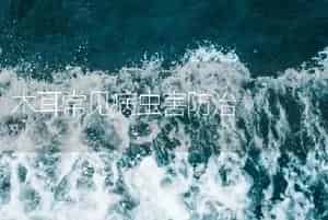 木耳常见病虫害防治