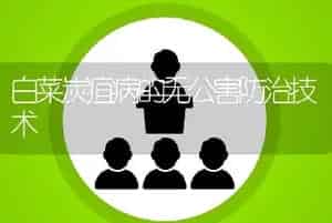 白菜炭疽病的无公害防治技术