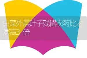 白菜外层叶子残留农药比内层高3倍