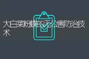 大白菜粉蝶的无公害防治技术