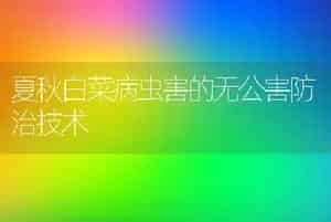 夏秋白菜病虫害的无公害防治技术