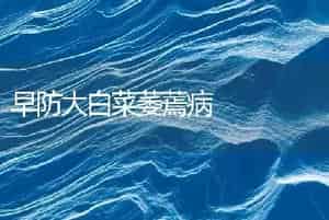 早防大白菜萎蔫病