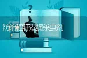 大白菜干烧心咋解救