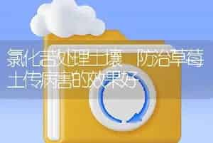 氯化苦处理土壤　防治草莓土传病害的效果好
