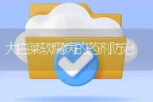 大白菜软腐病的药剂防治