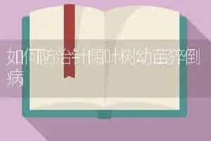 大白菜菜蝽的防治方法