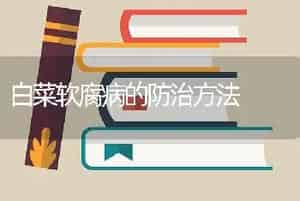 白菜软腐病的防治方法