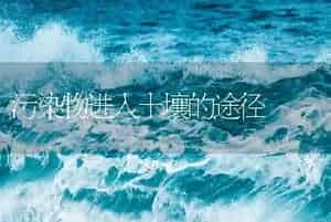 污染物进入土壤的途径