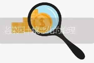 老菜园土壤恶化的治理