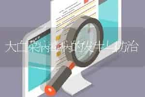 大白菜病毒病的发生与防治