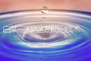 白菜三大病害的防治技术
