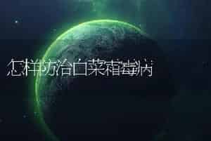 怎样防治白菜霜霉病