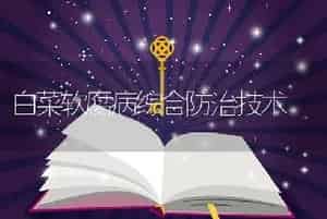 白菜软腐病综合防治技术