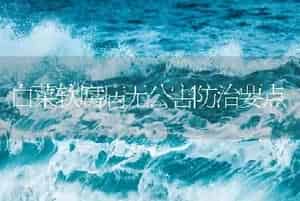 白菜软腐病无公害防治要点