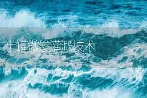 大白菜蛾的无公害防治技术