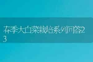 春季大白菜栽培系列问答23