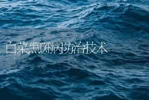 白菜黑斑病防治技术