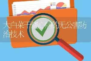 大白菜干烧心病的无公害防治技术