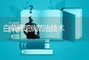 白菜黑斑病防治技术