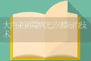 大白菜霜霉病无公害防治技术