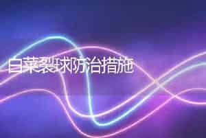 白菜裂球防治措施