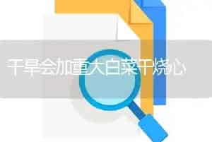 干旱会加重大白菜干烧心