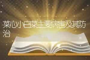 菜心小白菜主要病害及其防治