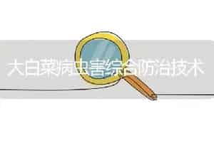 大白菜病虫害综合防治技术
