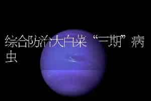 综合防治大白菜“三期”病虫