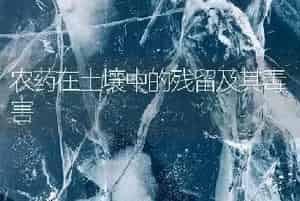 农药在土壤中的残留及其毒害