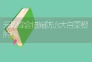 采取综合措施防治大白菜根肿病