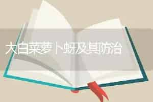 大白菜萝卜蚜及其防治