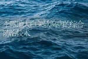 季露地大白菜软腐病的综合防治技术