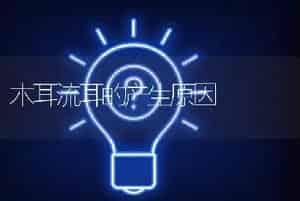 木耳流耳的产生原因
