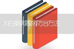 大白菜病毒病防治方法
