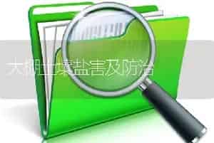 大棚土壤盐害及防治