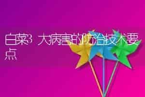 白菜3大病害的防治技术要点