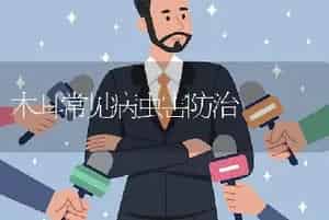 木耳常见病虫害防治